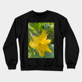 Cucumber Crewneck Sweatshirt